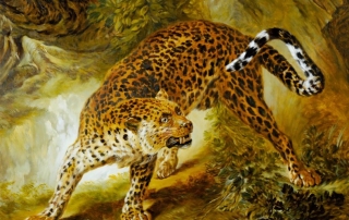 Leopard Study from Oudry